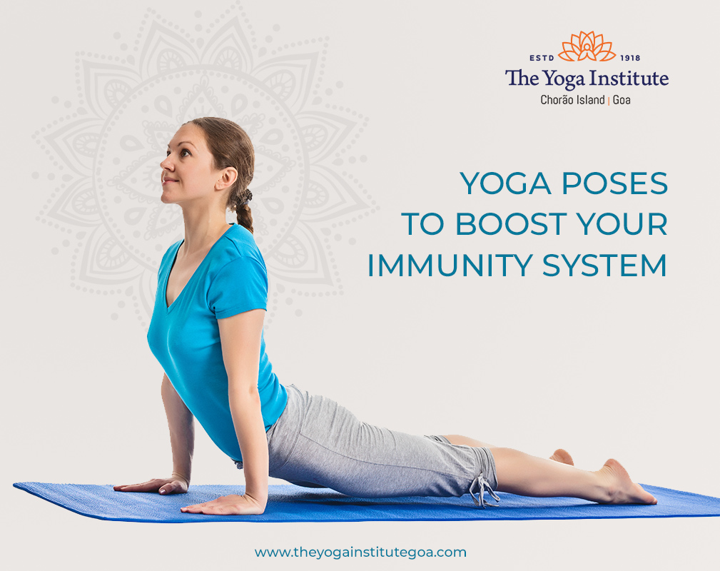 Yoga for Immunity Boost