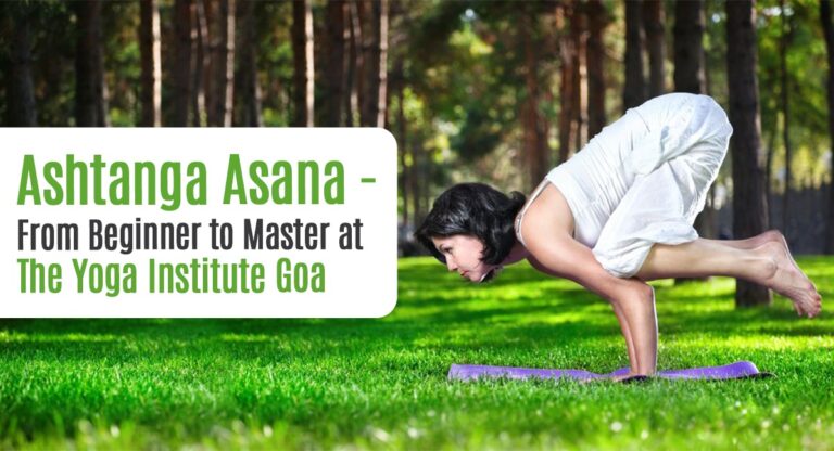Ashtanga Asana From Beginner to Master